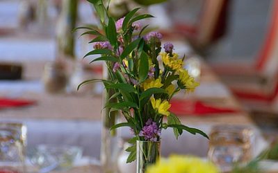 Les boissons qui conviennent à chaque dîner