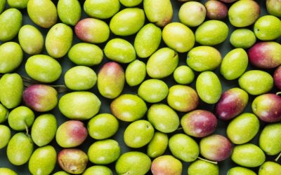 Cuisiner à l’huile d’olive : les bienfaits