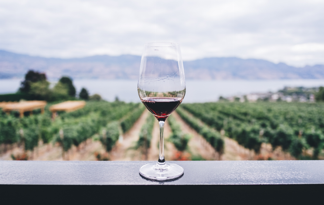 Comment conserver correctement une bonne bouteille de vin ?