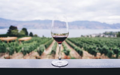 Comment conserver correctement une bonne bouteille de vin ?
