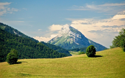 La chartreuse : une liqueur d’exception a l’histoire riche